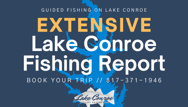 Extensive Lake Conroe Fishing Report by Licensed Professional Fishing Guide Collin Edwards of Lake Conroe Fishing Adventures